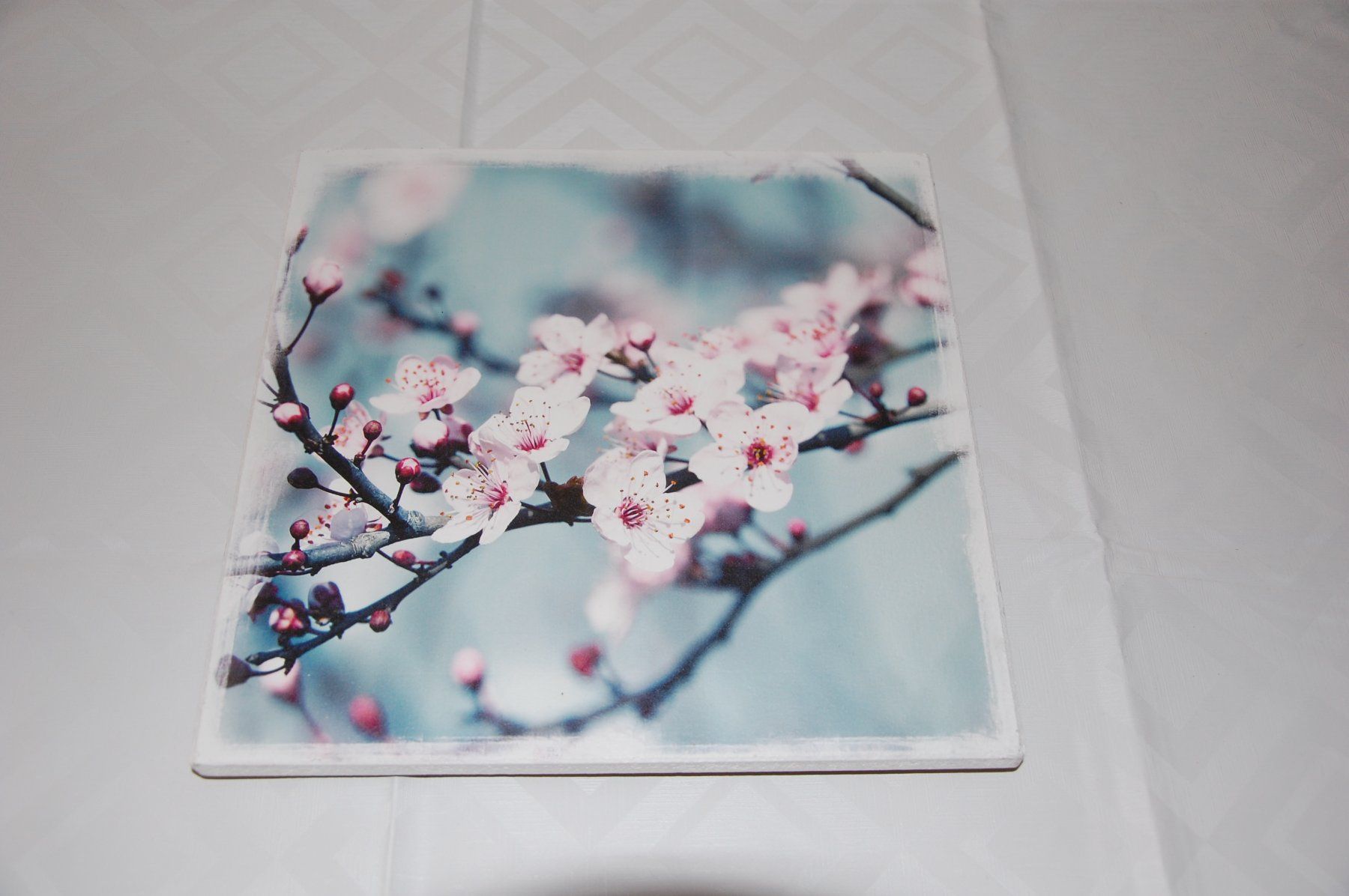 Foto & Immagini: Bild Kirschblüten ca. 30x30cm – Usato da Langenthal venduto da blueskye01 3