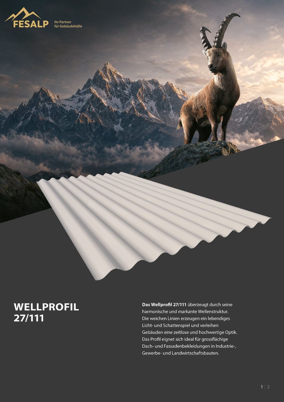 Pareti & Soffitti: Wellprofil/Trapezblech/ Holzabdeckung/ Scheunendach – Nuovo e nell'imballaggio originale da Vaduz venduto da FESALP 2