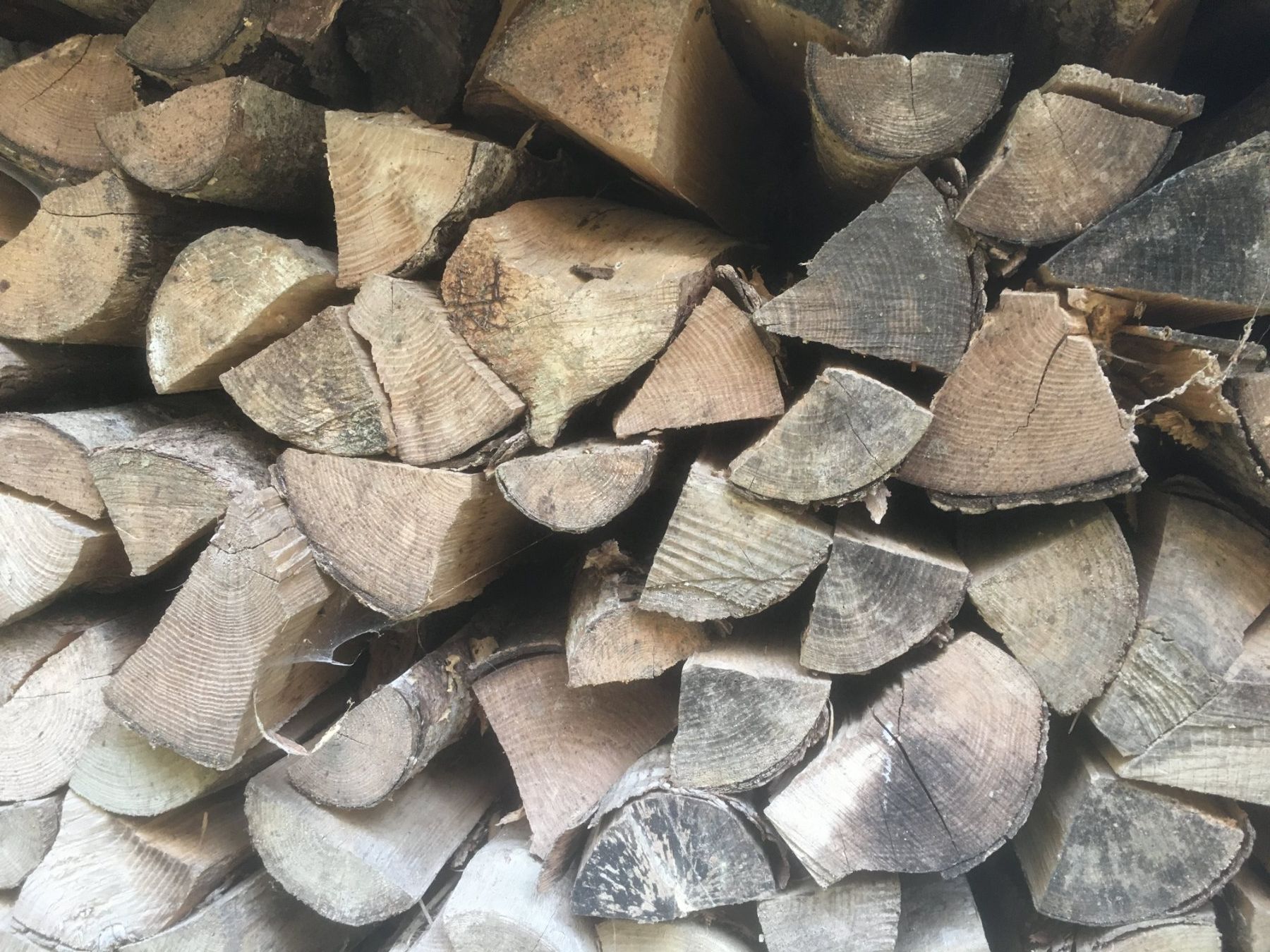 Holzartikel: Brennholz Ster Bündel – Neu (gemäss Beschreibung) aus Neukirch (Egnach) von Crank2 4