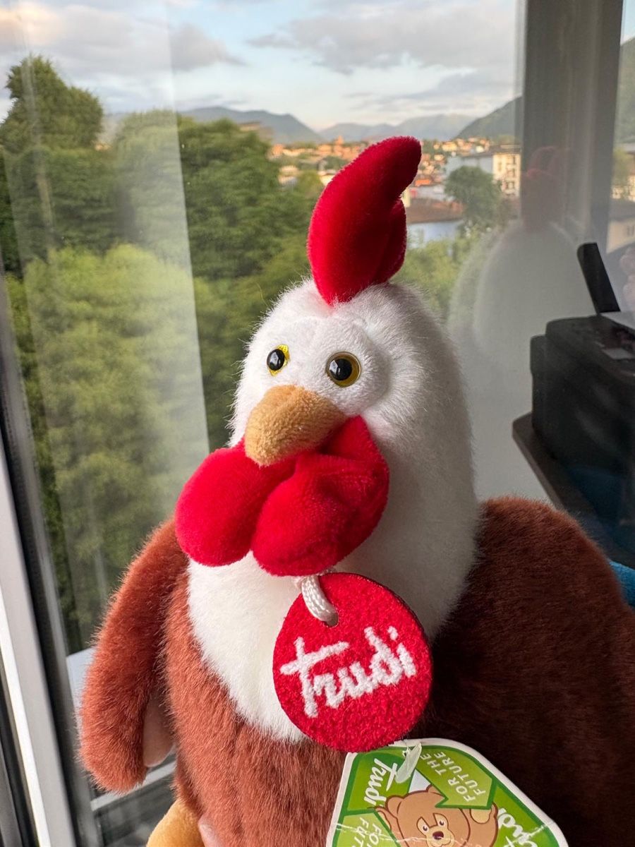 Trudi Jouets: Trudi Peluche Gallo – Neuf (Voir description) à Chiasso par spe_95dn 5
