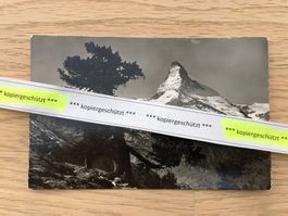 Zermatt Rifelalp Matterhorn AK