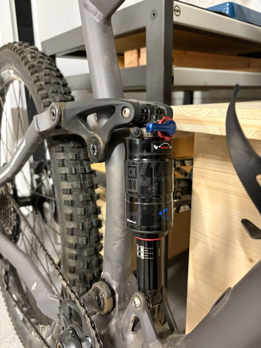 Biciclette: Mountainbike DT Swiss 1900 – Nuovo (secondo la descrizione) da Bern venduto da gwilla 1