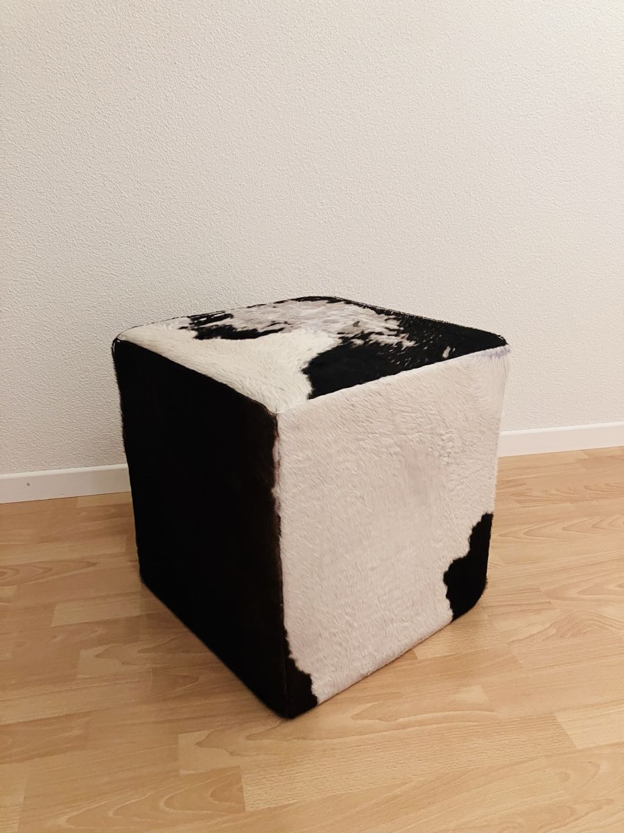 Pfister Hocker: Hocker  – Gebraucht aus Spreitenbach von rueegga70 4