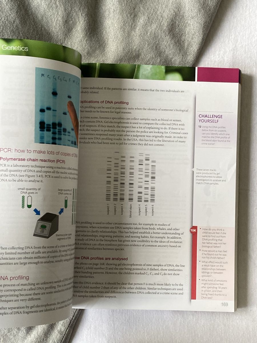 Libri: 7 IB Diploma textbooks – Usato da Möhlin venduto da ser_85rz 8