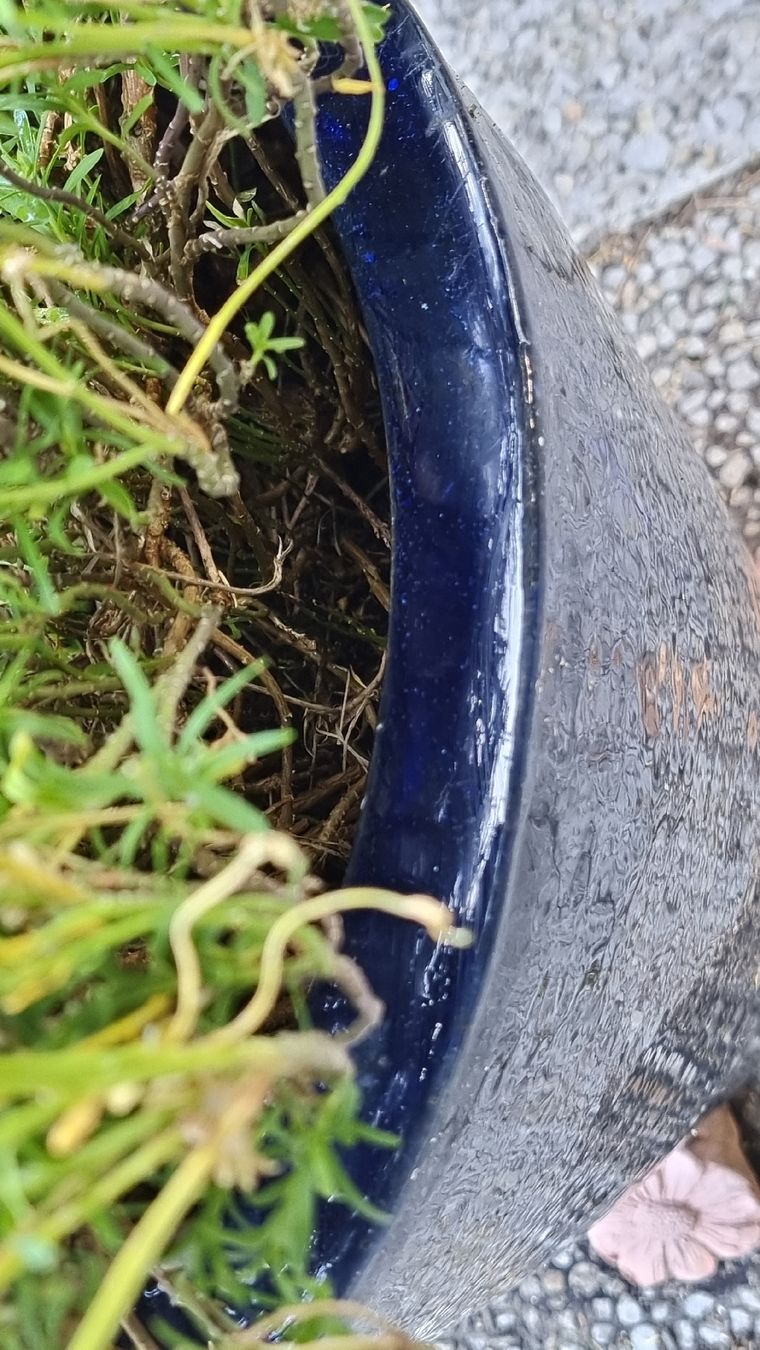 Vasi per fiori: Keramiktopf dunkelblau – Usato da Twann venduto da MW51 3