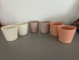 6 Kakteentöpfli