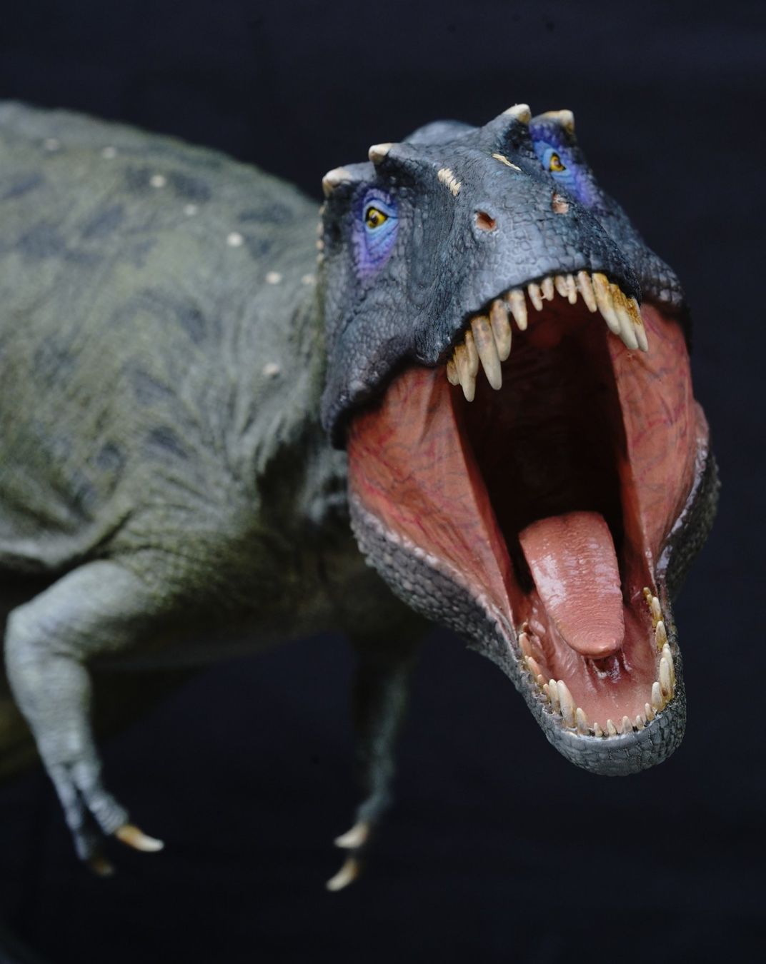 Statuette: Lythronax argestes 1:10 Musee M.See Studio Dinosaurier – Usato da Selzach venduto da Ataraxus 1