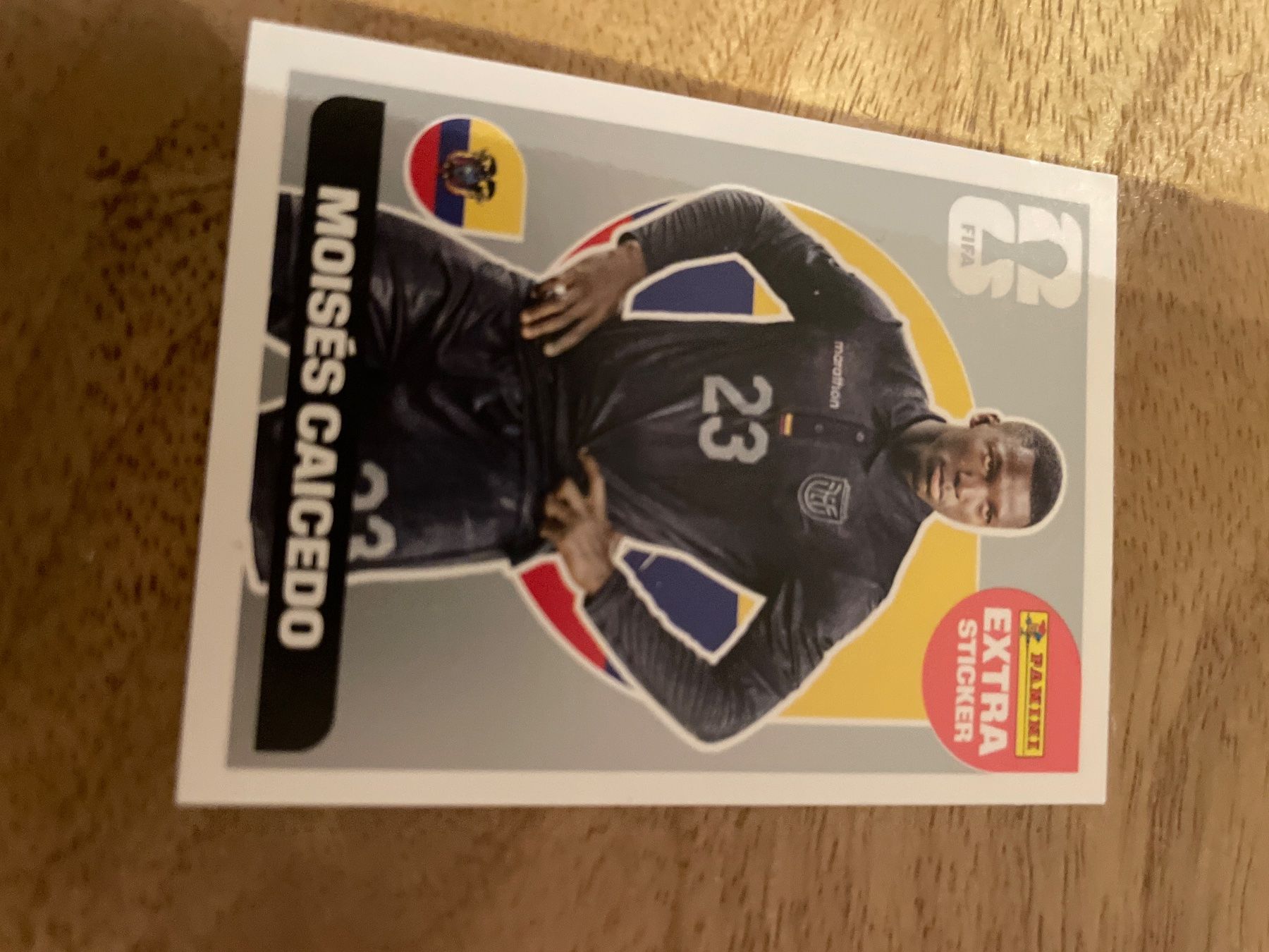 Panini Carte collezionabili: FIFA World Cup 2026 Moisés Caicedo Extra Sticker Silber – Usato da Uetikon am See venduto da luc_lz5y
