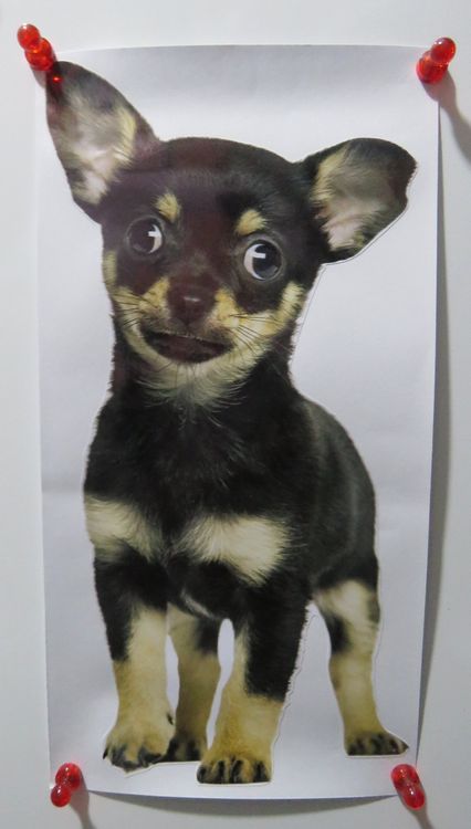 Placeholder Image