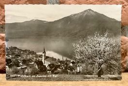 WALCHWIL am Zugersee mit Rigi - Dorfansicht