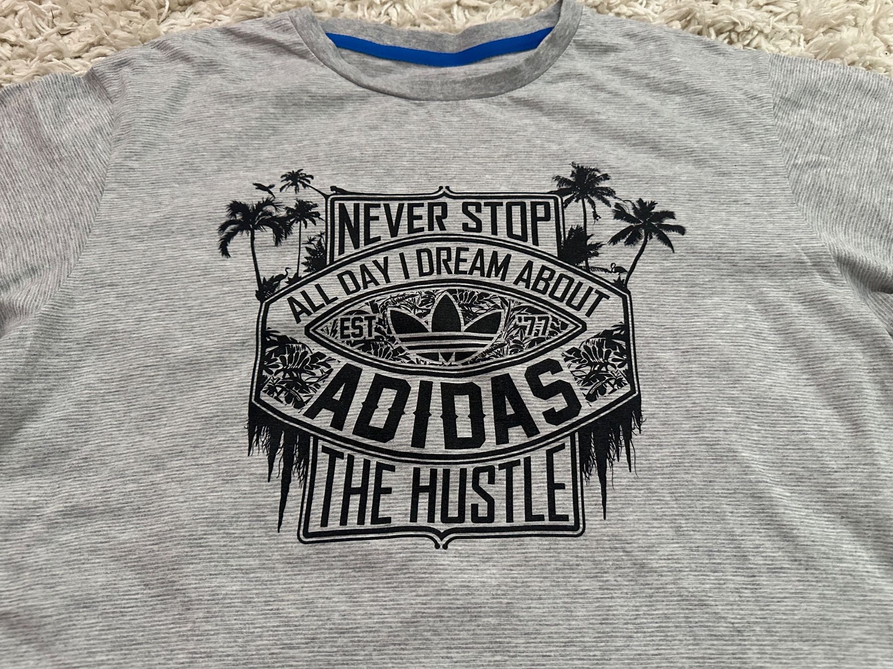 Adidas T-shirt: Adidas T-Shirt Gr.M – Usato da Bern venduto da BrandVilla 2