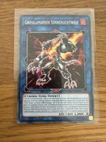 Grossalamander Sonnenlichtwolf SAST-DE048