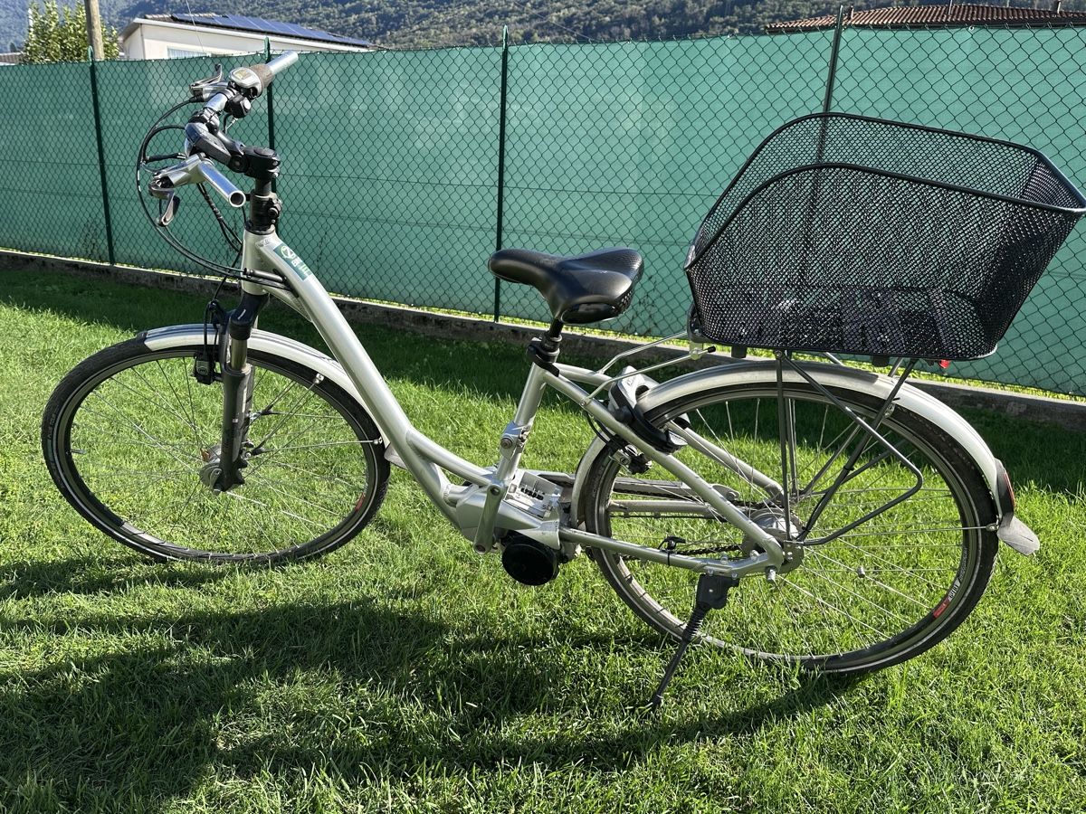 Flyer Biciclette: Auktion e-bike Flyer 36v defekt  – Difettoso da Quartino venduto da DiloUsato 2
