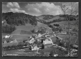 Necker Teilansicht