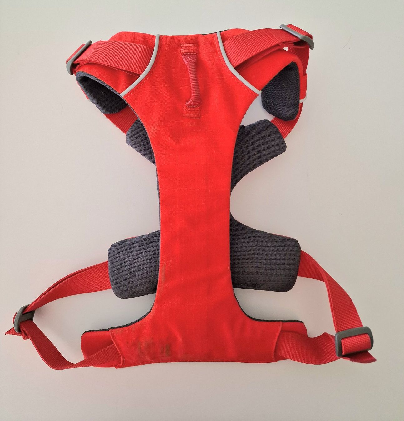 Ruffwear Guinzagli & Collari: Hundegeschirr Ruffwear – Usato da Aarau Rohr venduto da Ricardo09 2