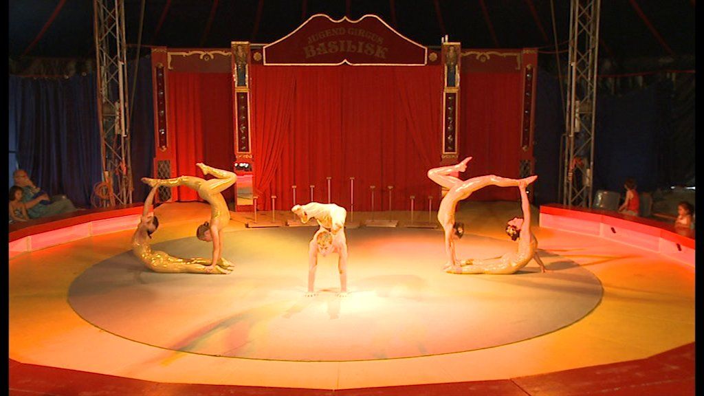 Alle DVDs: Circus Basilisk Programm 2010 Traumreise Zirkus Kinder – Gebraucht aus Allschwil von Summelsarium 5