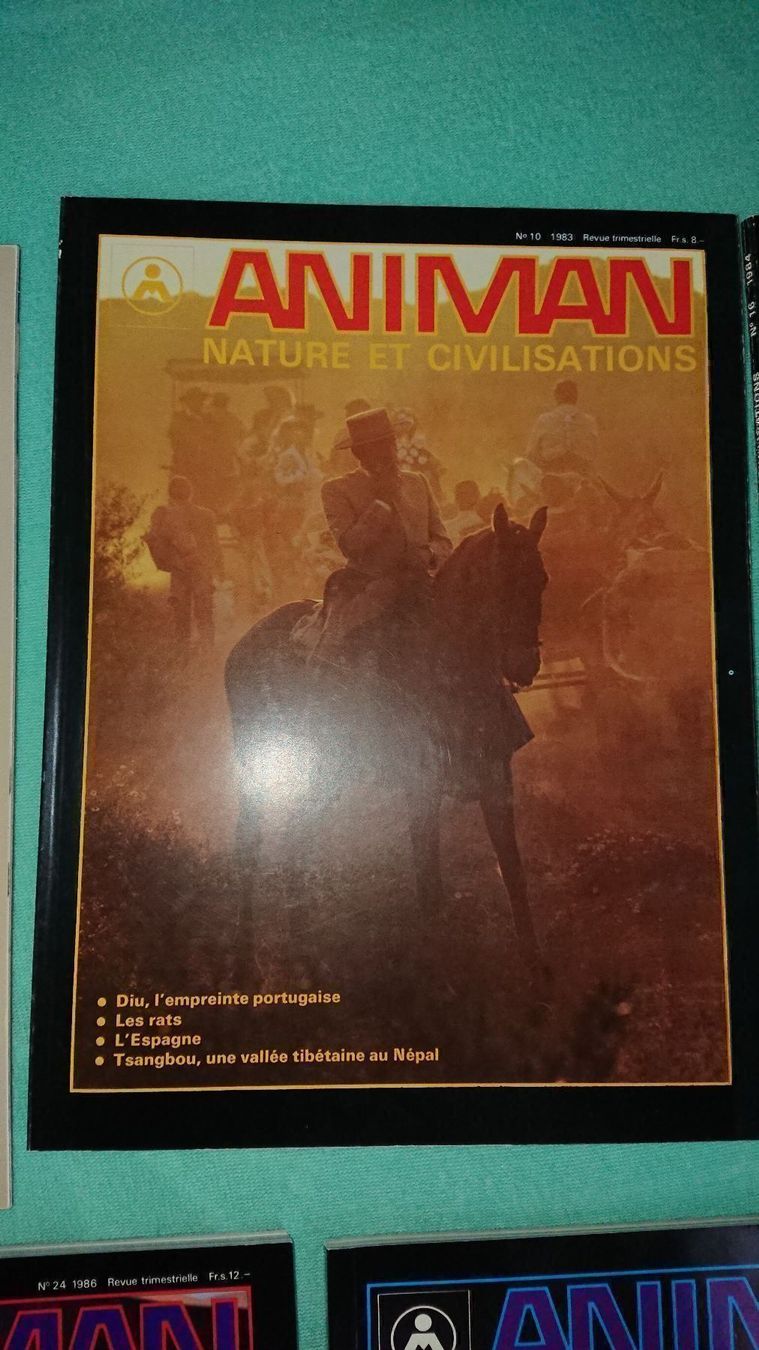 Riviste & Magazine: Animan / 7 Magazines – Usato da Cortaillod venduto da signep 5