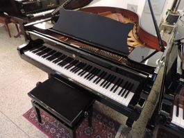 Steinway & Sons O-180, Revidiert