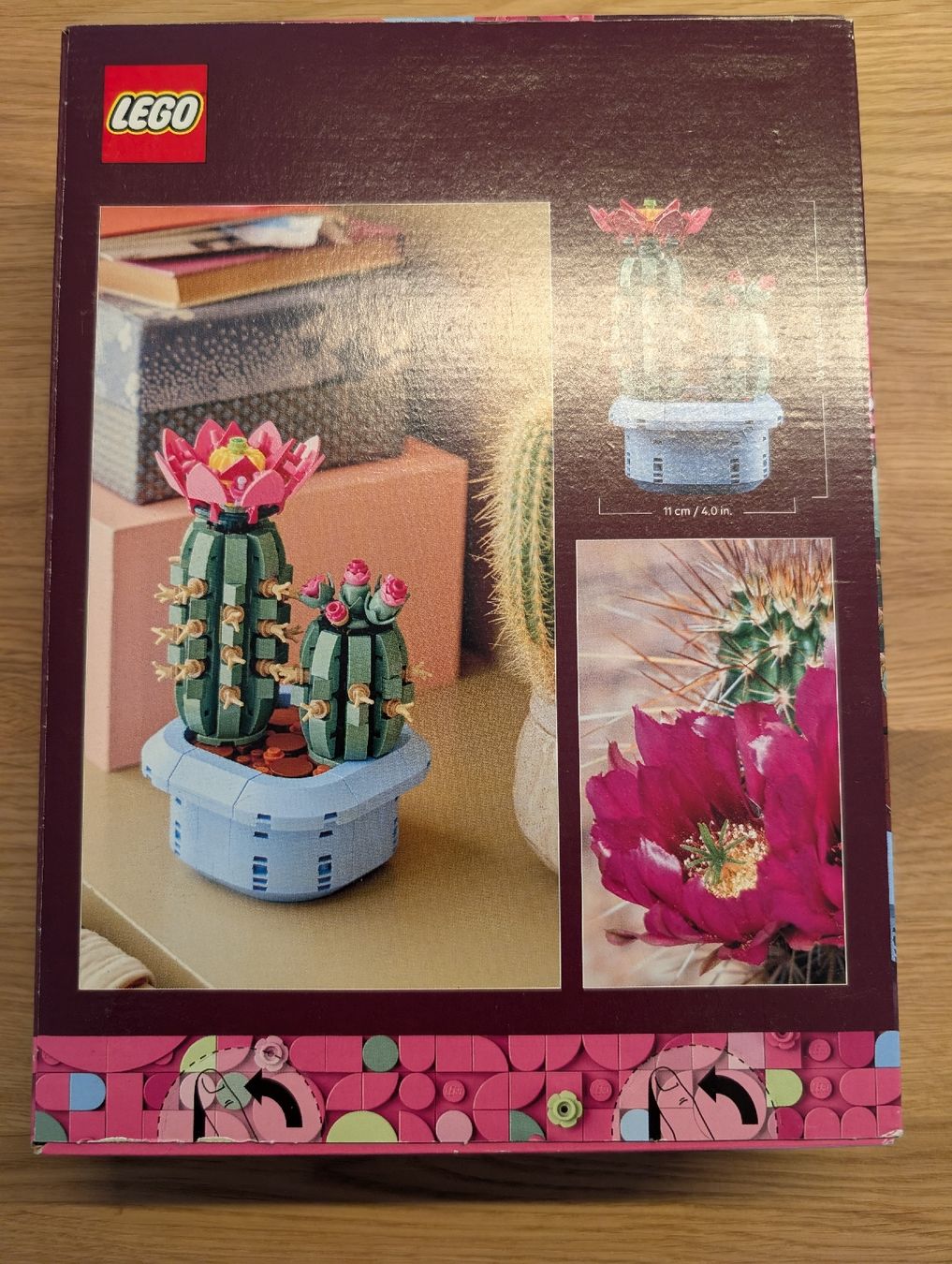 Lego Jeux de construction: LEGO Botanicals Flowering Cactus – Neuf avec emballage d'origine à Winterthur par mrcsrs 1