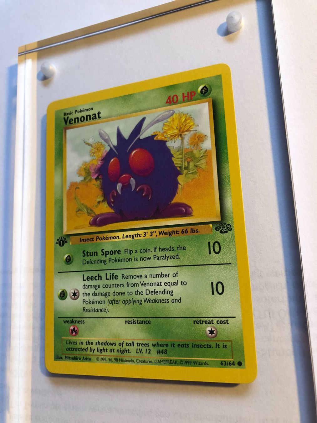 Carte collezionabili: Venonat 1st Jungle - MINT - ab 1.- – Usato da Giubiasco venduto da dan_pr8b 2