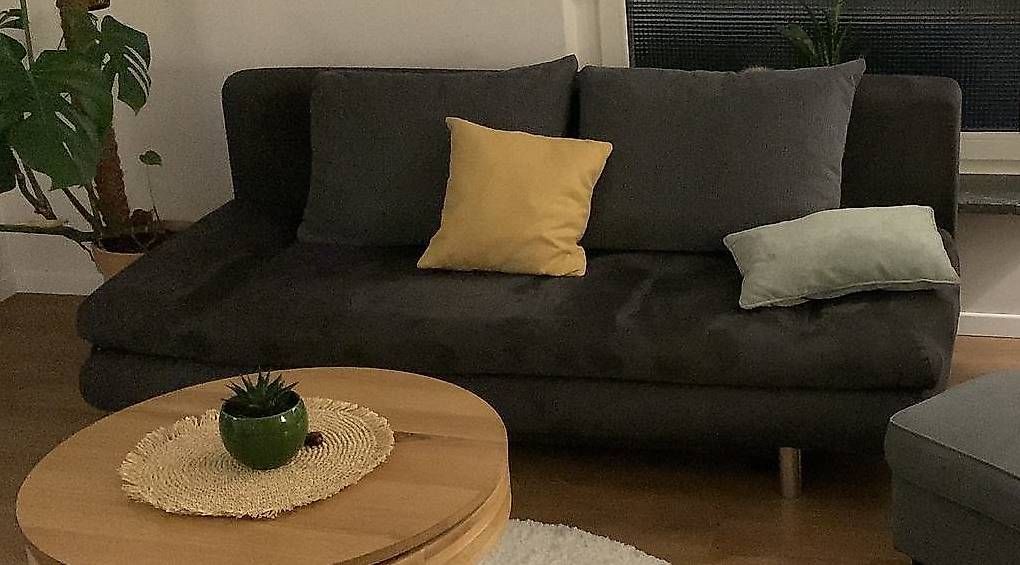 Divani: Bettsofa wie NEU! – Usato da Stein am Rhein venduto da Gomme100