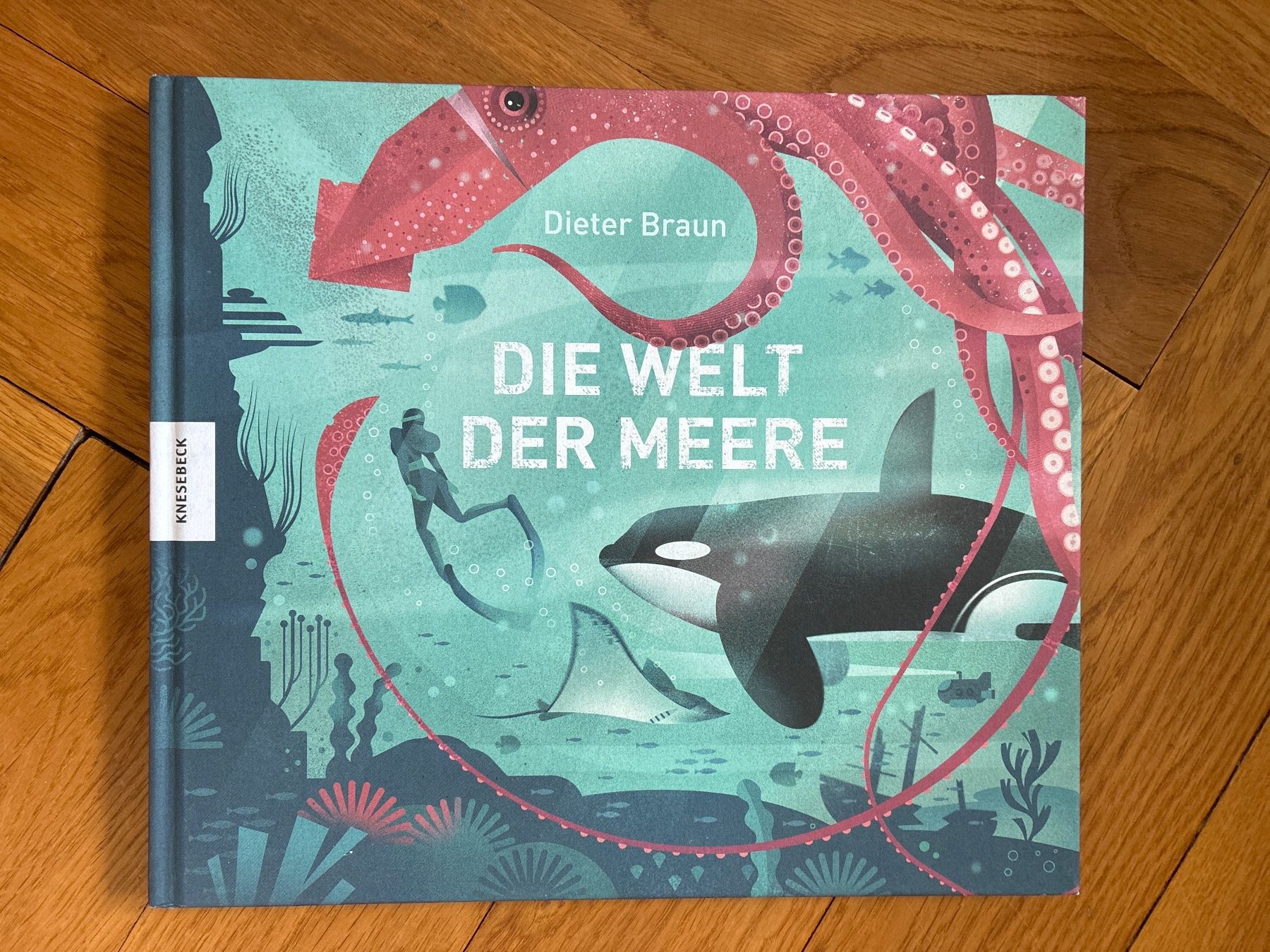 Libri: Die Welt der Meere Dieter Braun – Usato da Zollikon venduto da mythenschloss