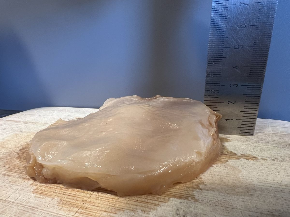 Lebensmittel & Spezialitäten: ✨ Bio - Kombucha - Scoby ✨ – Gebraucht aus Bern von gen_j9gp 2