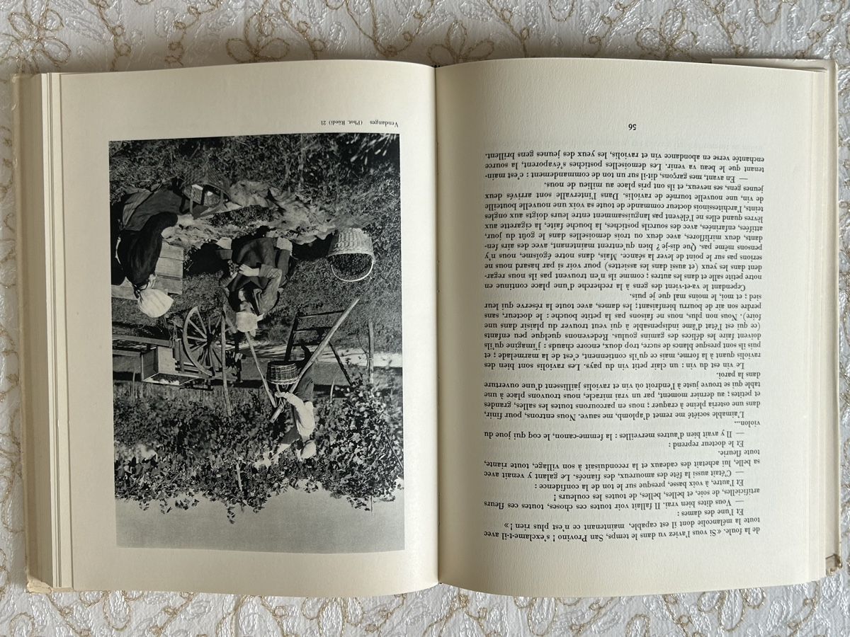 Libri: Mon beau Tessin – Usato da Trélex venduto da Sonvic 3