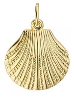 Anhänger Muschel 333 Gold mit kette s925