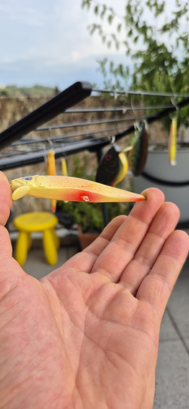 Köder: Wobbler von Hand Designt 7g Float Minnowhead – Neu (gemäss Beschreibung) aus Hägendorf von STrANDGuT86 1