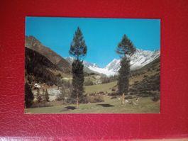 Kühmadalp Lötschental mit Lotschenlücke 1981