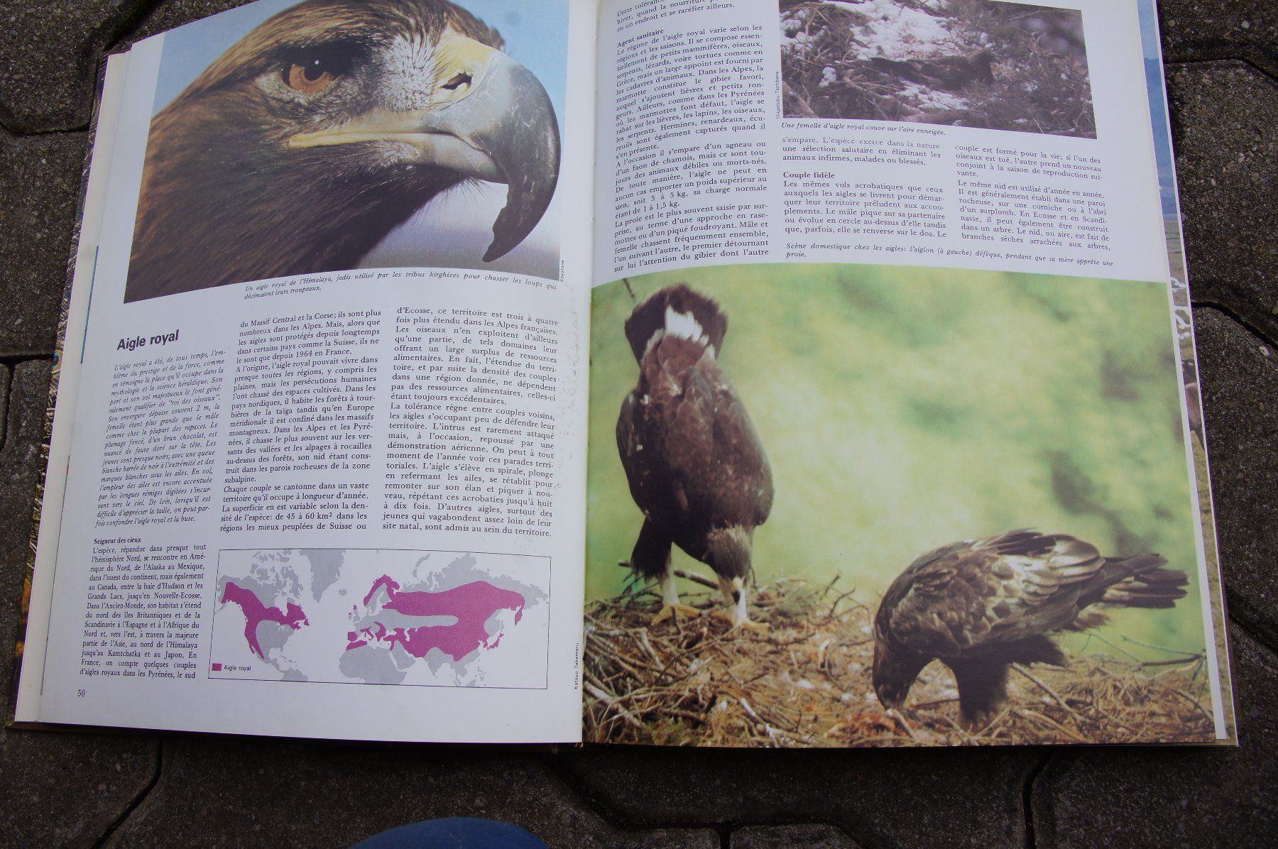 Libri: Le royaume des animaux – Usato da Sierre venduto da Erjou 1
