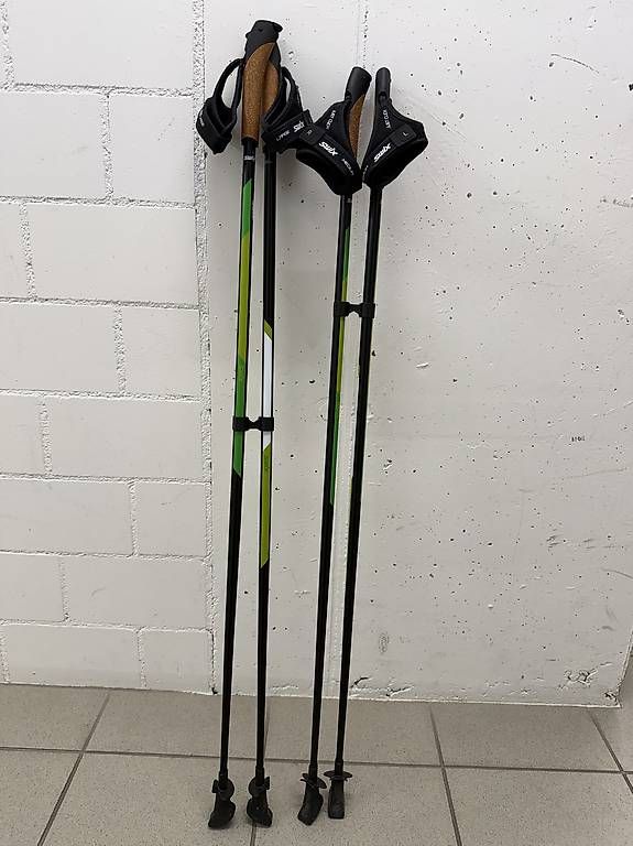 Altri accessori: Nordic Walking Stöcke – Usato da Uitikon Waldegg venduto da lar_s9kb 3