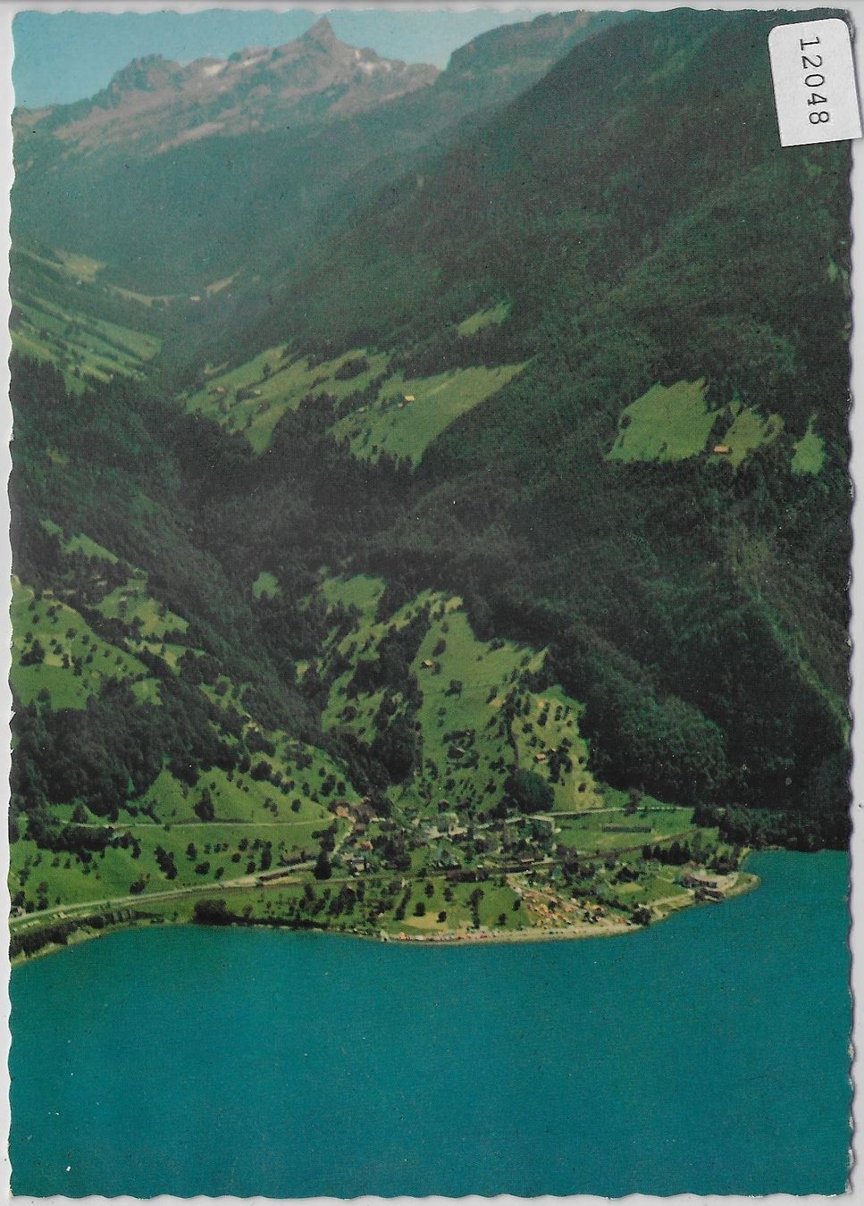Cartoline postali: Flugaufnahme Sisikon mit Camping – Antico da Ettingen venduto da Kartenplanet