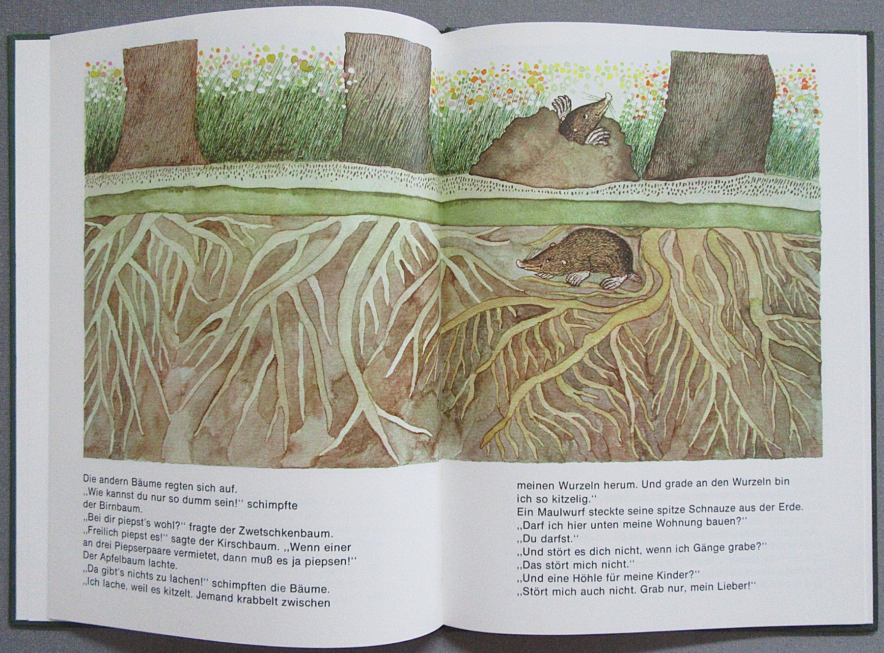 Livres: Der Apfelbaum - Bilderbuch ab CHF 1.00 – D'occasion à Auenstein par Padabimbim 3