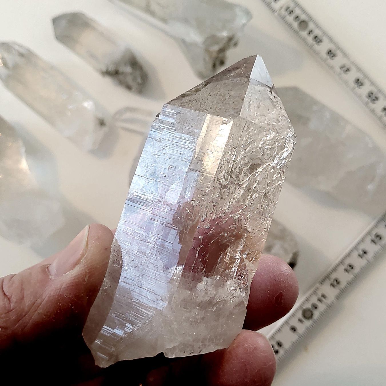 Minerali & Pietre curative: Flottes Sortiment Bergkristalle, Uri, Eigenfund – Nuovo (secondo la descrizione) da Steinhausen venduto da Kristall022 4