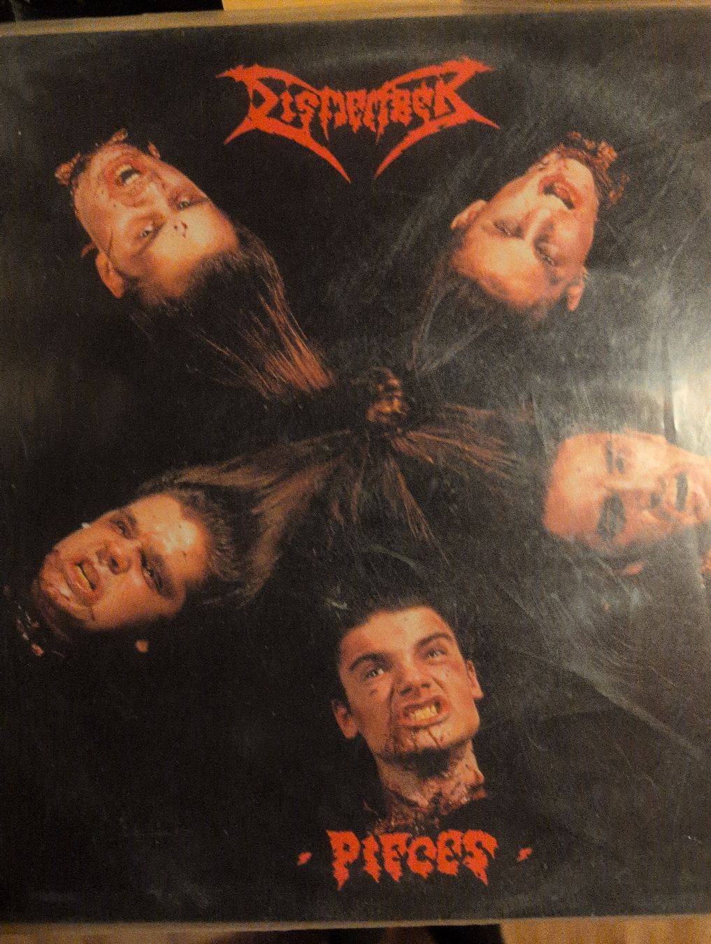 Dischi in vinile: Dismember Pieces LP – Usato da Wynau venduto da rem_5tpw
