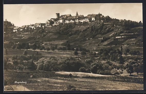 Cartoline postali: Regensberg, Ortsansicht von einem Feld a – Usato da Berlin venduto da bartko-reher