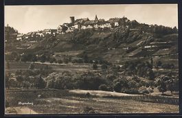 Regensberg, Ortsansicht von einem Feld a