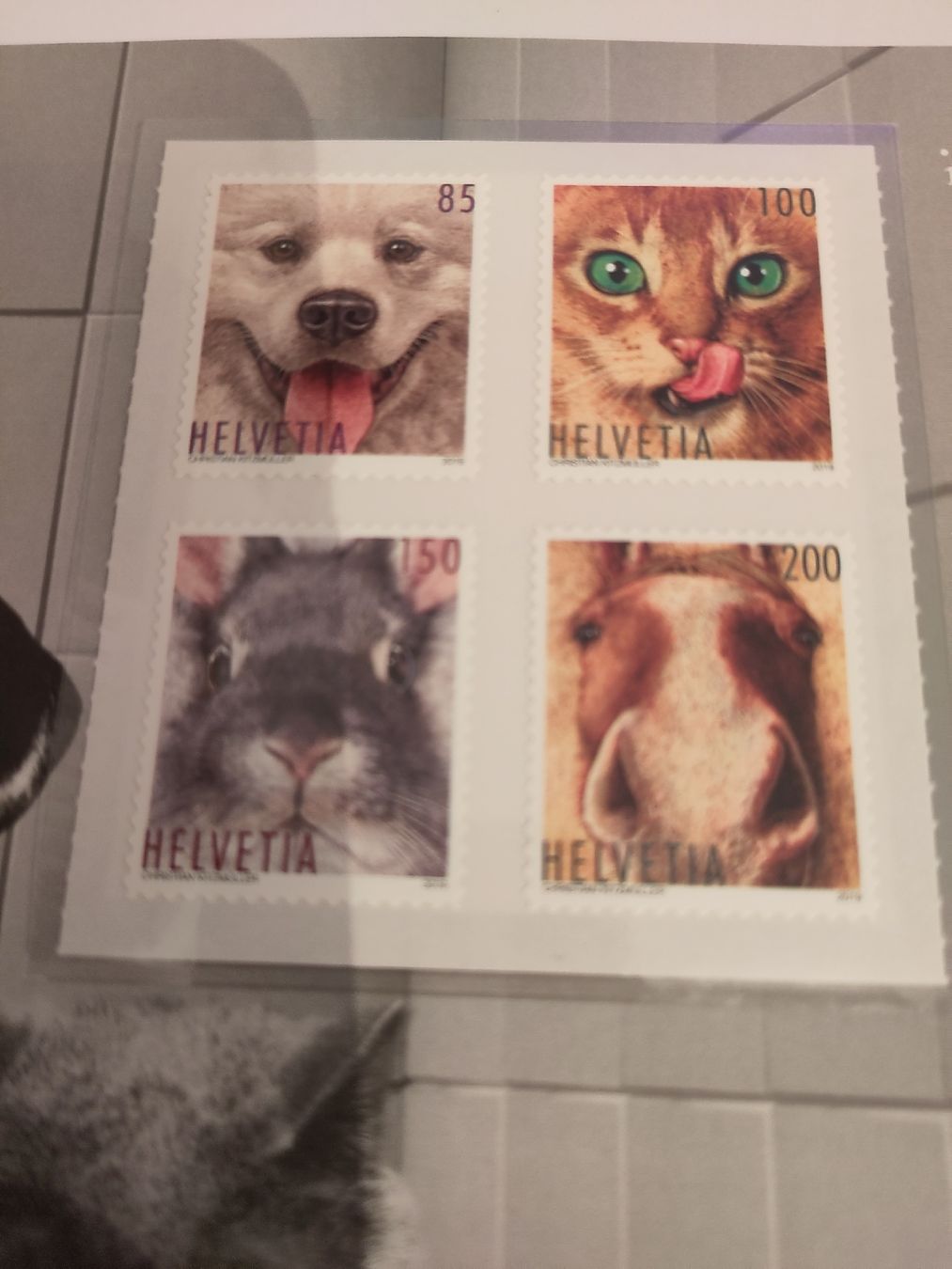 Tutti i francobolli: Schweizer Briefmarken 2019 gutes Exemplar ** – Nuovo (secondo la descrizione) da Höri venduto da Samsa9 4