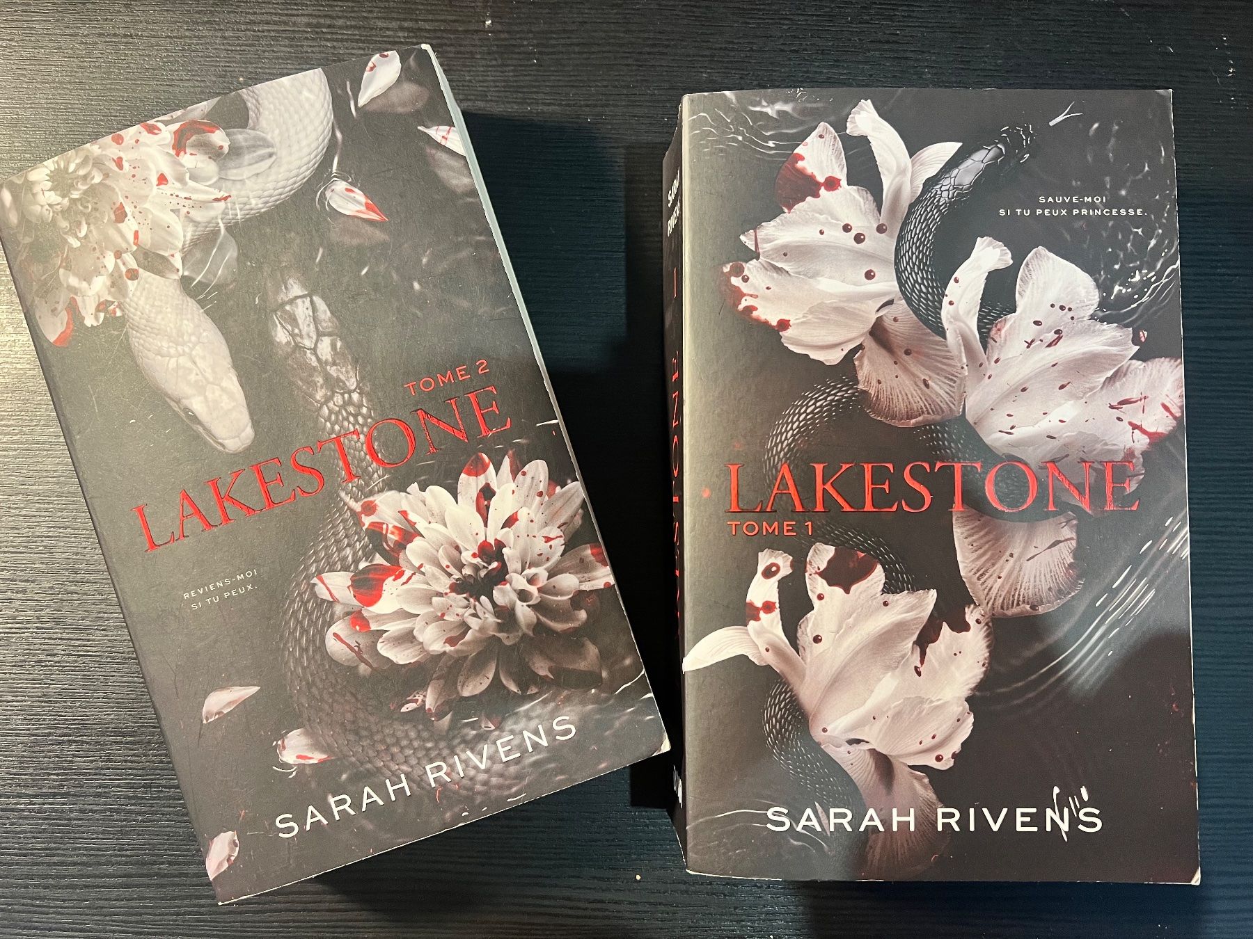 Libri: Lakstone 1et2 – Usato da Morges venduto da mae_j6bn