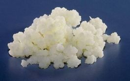 KEFIR AU LAIT + instructions - probiotique, sain & délicieux