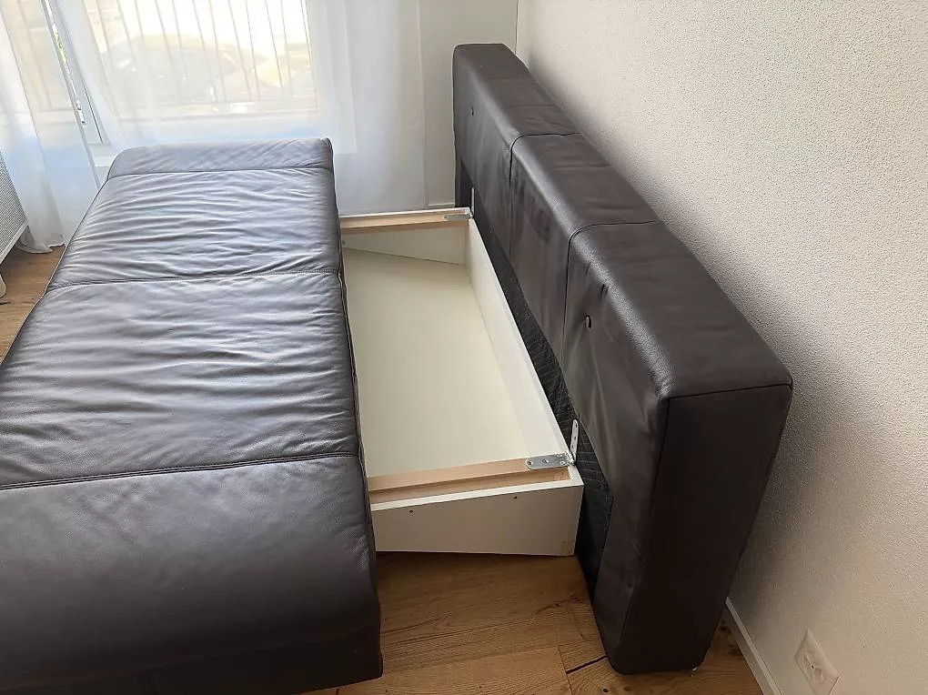 Divani: Ledersofa mit Schlaffunktion – Usato da Baden venduto da liz_8fx9 3