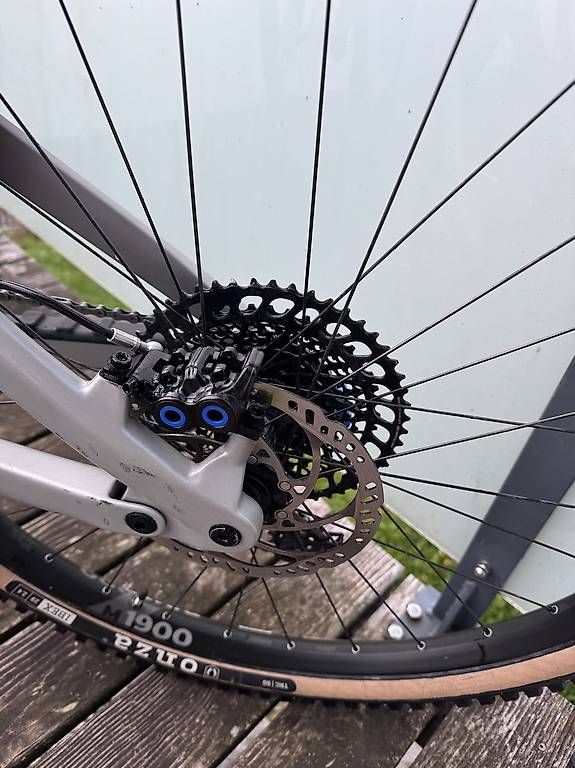 Biciclette: Enduro Bixs Peak 140 M  – Usato da Ringgenberg BE venduto da Brakar74 2