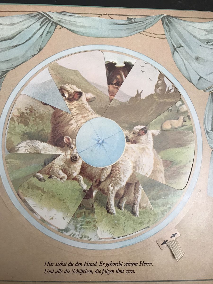 Libri: Kinder Buch, einmal hin - einmal her – Usato da Buonas venduto da eluthi48 5