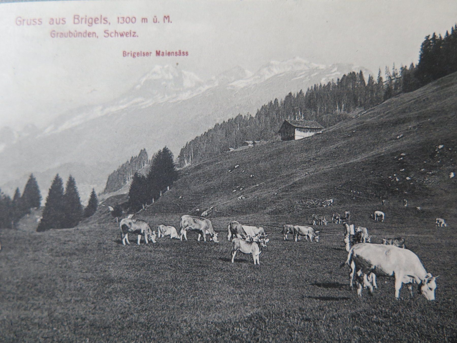 Ansichtskarten: BRIGELS - GRUSS AUS BRIGELS – Gebraucht aus Wittenbach von lipasal 1