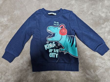 Kinder-Sweatshirt Gr. 104