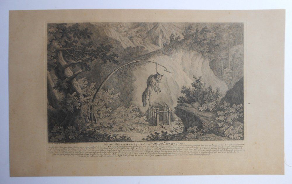 Incisioni: Kupferstich von Ridinger. Ca 1740. – Usato da Basel venduto da Domba