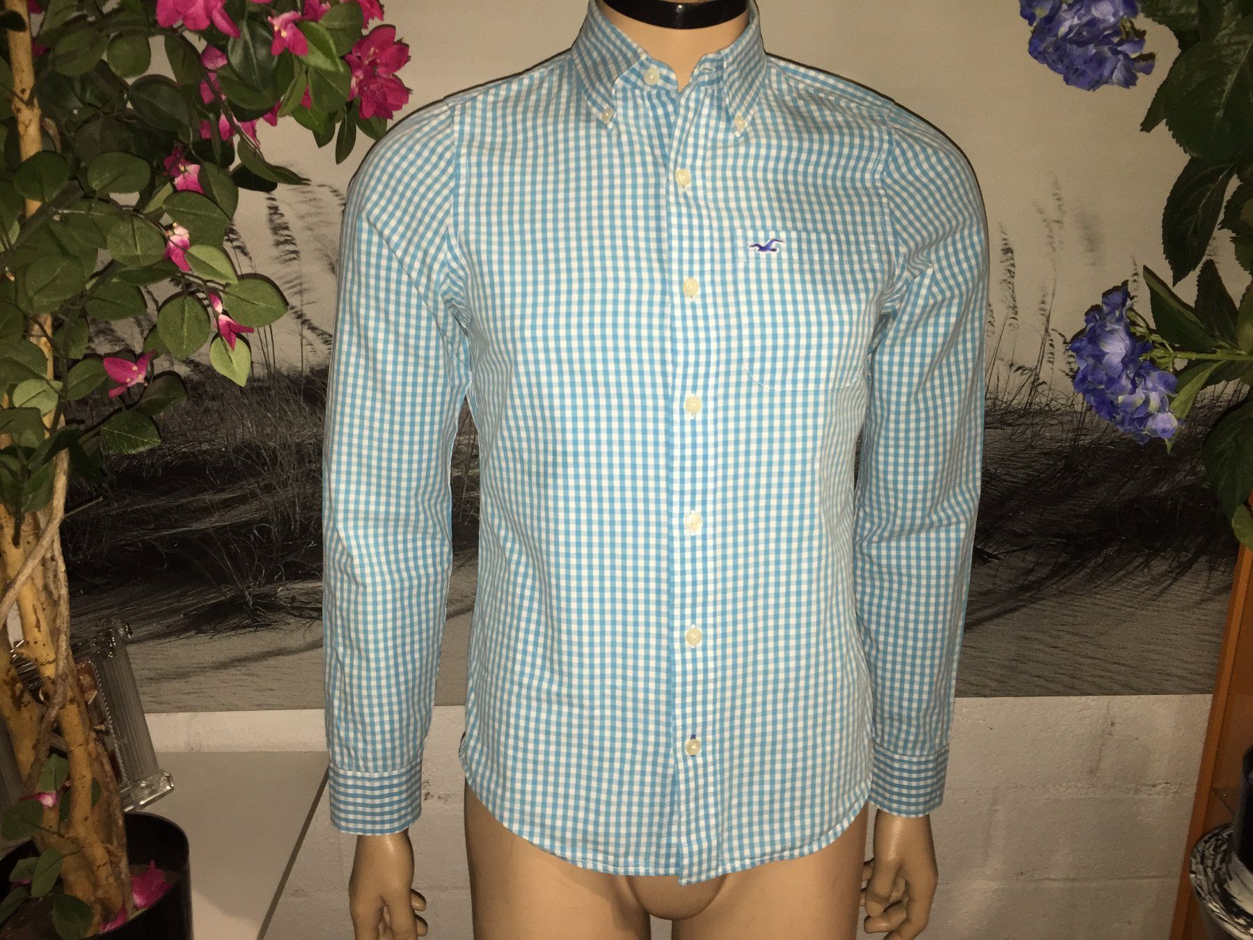 Hollister Camicie: HOLLISTER Chemise / Hemd Taille / Grosse S – Usato da Cossonay-ville venduto da Super-Price-Quality
