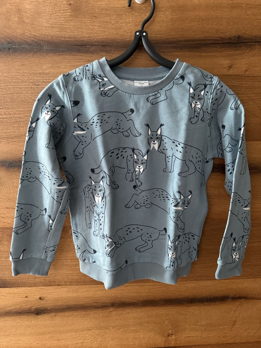 Lotti & Set di vestiti: Polarn O. Pyret Dino Pulli 110, Luchs Pulli & Hemd 116 – Set – Nuovo (secondo la descrizione) da Spreitenbach venduto da Princess1989 2